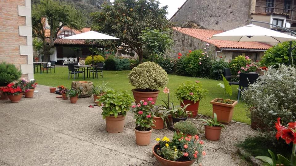 Posada De Muno Munorrodero Exterior photo
